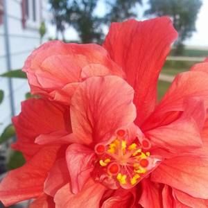 Meet your Posher, Marge